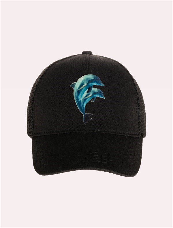 Velvet Dolphins Patch Hat